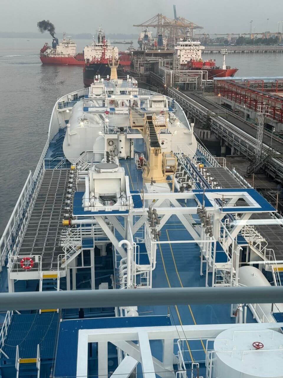 Renewlium Biodiesel Cargo