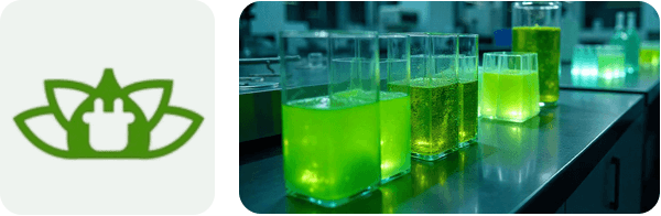 What We Do Renewlium Image